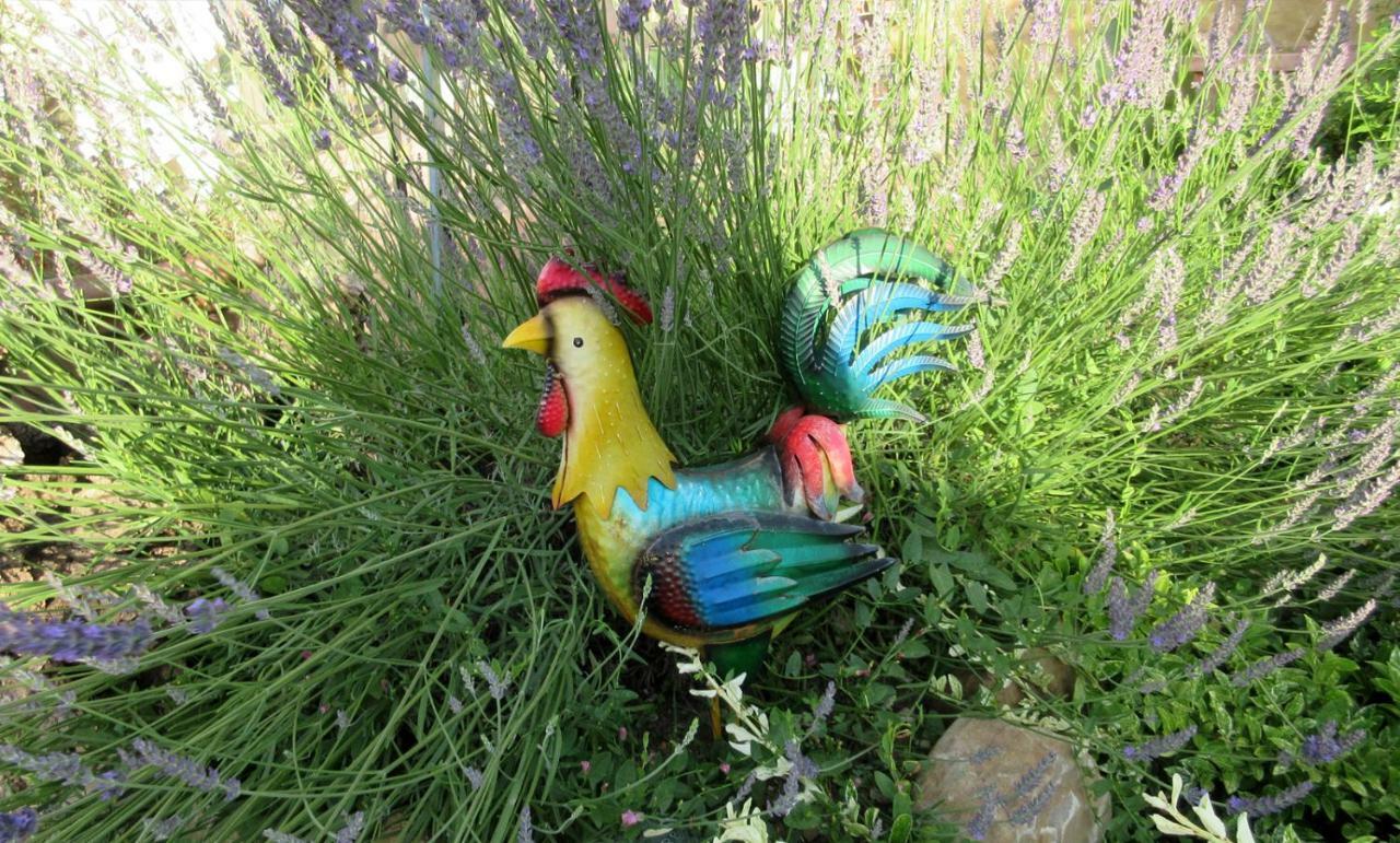 Podere Chiocciola Poggibonsi Esterno foto