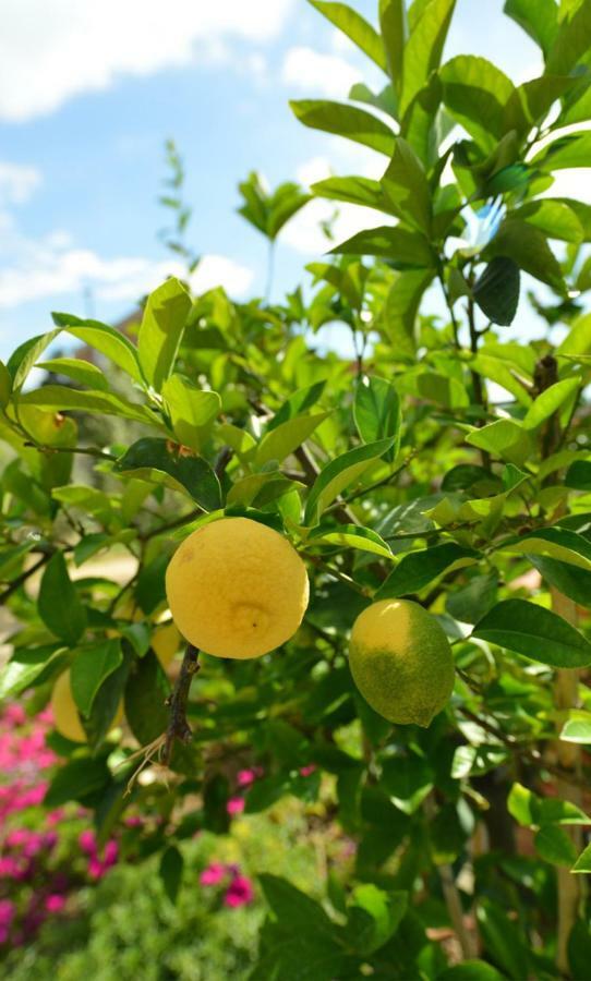 Podere Chiocciola Poggibonsi Esterno foto